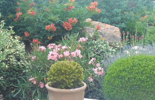 Gite Au Bouzigues - Photo 44