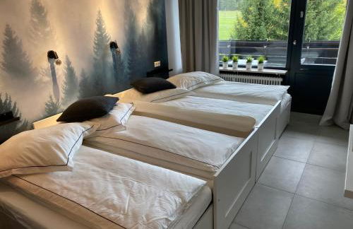 Schwarzwald Wohnung Kniebis - Foto 5