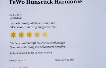 5 Sterne Wohnung Hunsrück Harmonie - Foto 12