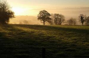 Luggs Barn - Beautiful Devon Hideaway - Photo 44