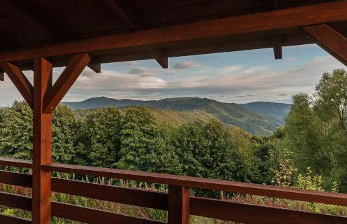 Willa Hrobacza spa - Foto 23