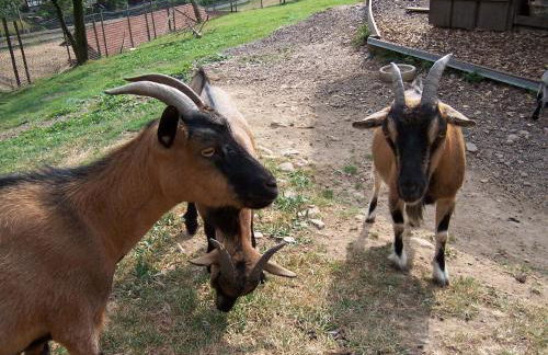 Schnurrenhof - Foto 9