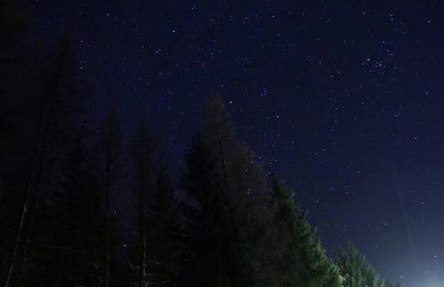 Thüringer Waldbaude - Foto 60