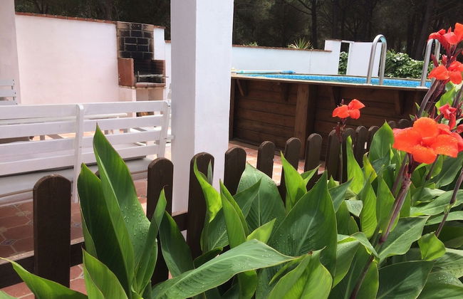 Villaconil - Foto 20