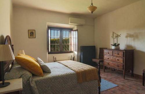 Monte Ribeira de Mures - Foto 21