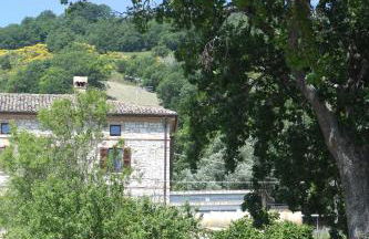 agriturismo montefiorentino - Foto 5