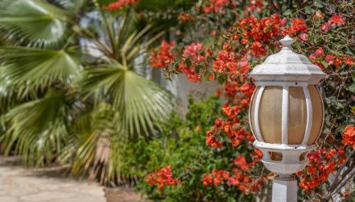 Villa Océano with private heated pool, aircon and Seaview - Foto 4, Garden, Garden view