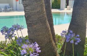 I MESTRI Holiday Homes - Foto 26