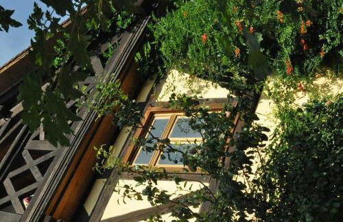 Gästezimmer - Fuhrhalterei Maul - Photo 10