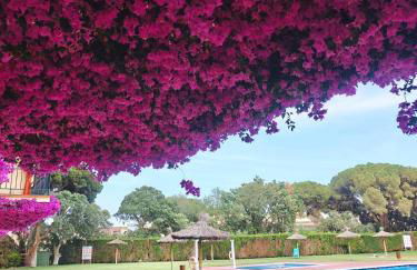 Sapphire Horizon - Sea View & Pool - Foto 19