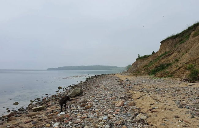 Holiday Home in Haderslev - Foto 28