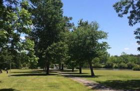 DoubleAcres - Foto 66