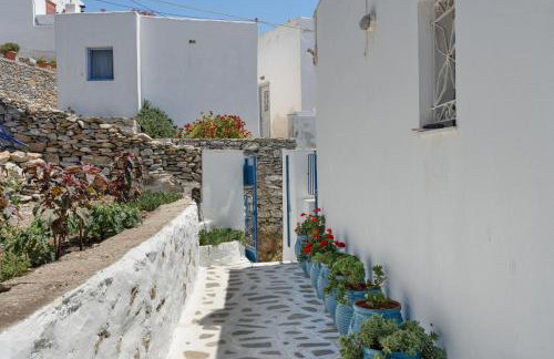 Politimis Studio N4 - Photo 22