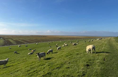 Nordseetraum - Ferienhaus Wolke - Foto 43