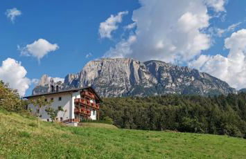 Gfliererhof - Foto 68