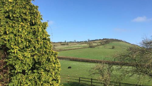 The Annex, Fruit and Honey Farm - Foto 3