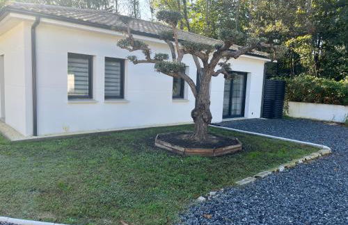 Salles, Maison à 30 min d'Arcachon - Foto 9