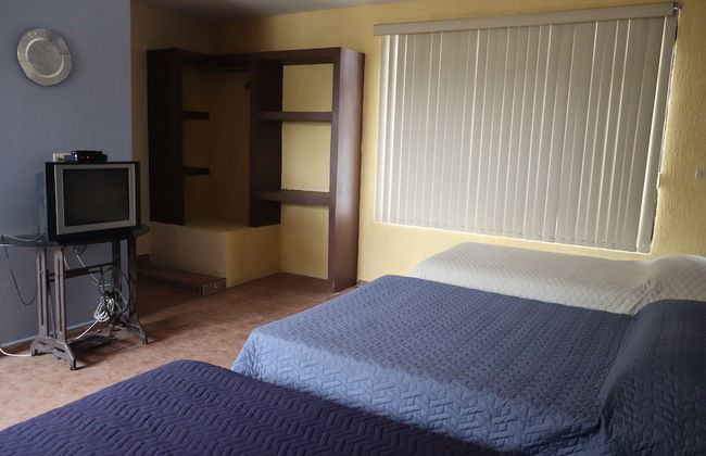 House of Ficus Banderilla,veracruz-mexico - Foto 8