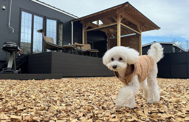 Solana Karuizawa Villa - Foto 8