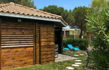 Chalet La Dragonniere - Photo 5