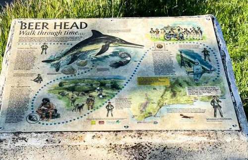 PRIMROSE COTTAGE, Sleeps 5, Stylish Cottage, Central, Close to Beach, shops and restaurants - Foto 61