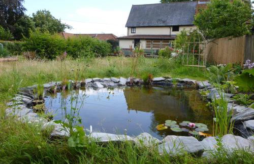 Golden Cross - Photo 17