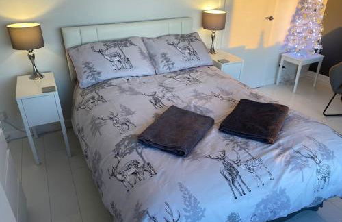 Horizon View - Photo 74