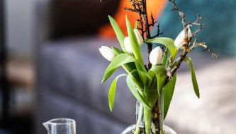 Ferienapartment Finke - Foto 2