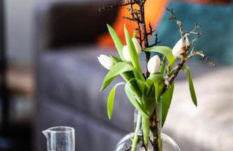 Ferienapartment Finke - Foto 2