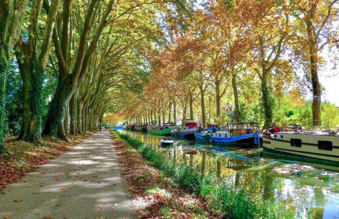 2 Bedroom Awesome Home In Saint-Laurent-De-La-Ca - Foto 25