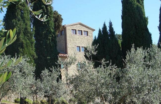 Poggio Corsucci - Foto 55