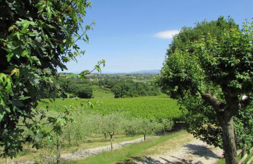 Poggio Olivo - Foto 65