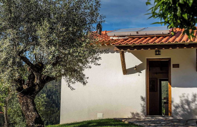 Reinado de Dom Dinis - Foto 57