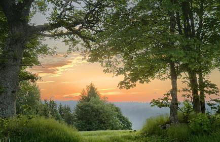 Haus Schlageter - Foto 28