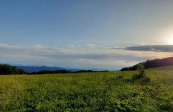 Domki pod Lipą. - Foto 58