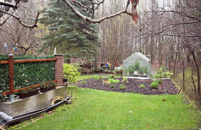 Waldblick Forest Retreat - Photo 30