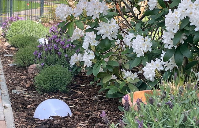 Bungalow Park am Salzhaff - Foto 53