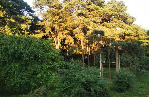 Apartament Górka Zdrój - Foto 22