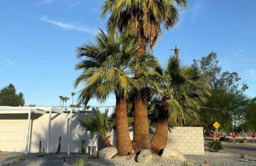 Aerhaus - Mid-Century Oasis - Foto 73