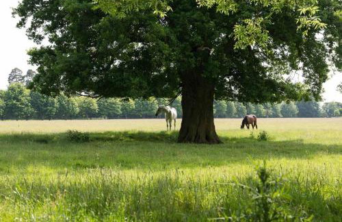 Farm Cottage a cute C17th cottage a walk across the fields to a great pub - Foto 45