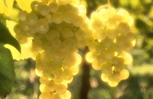 A Casa Mia - Foto 21