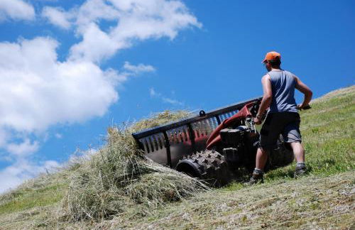 Alpinus Agriturism - Photo 69