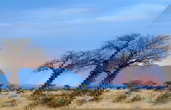 Ruaha Dream Villa - Foto 25