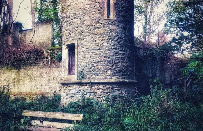 Lligwy House - Charming 3-bed House in Holyhead - Photo 30