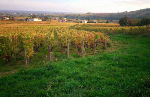 La bulle beaujolaise - Foto 19