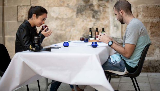 Visita a un olivar y una almazara + Cata de aceites - Foto 4