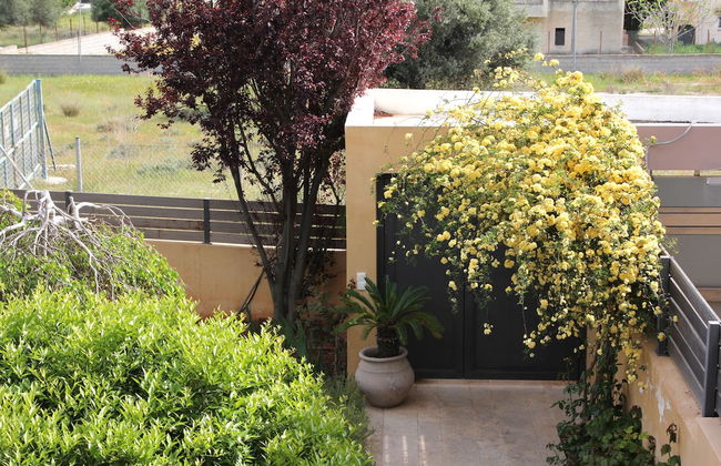 Lida Garden - Foto 54