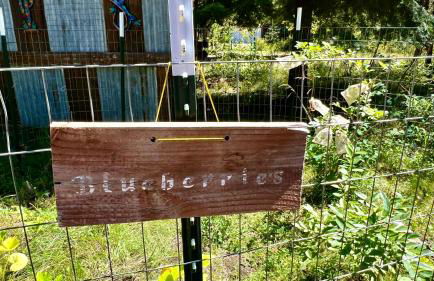 Boulder Creek Cabin by Casago McCall - Donerightmanagement - Foto 39