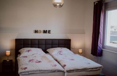 Rheinzeit-Weisweil - Foto 46