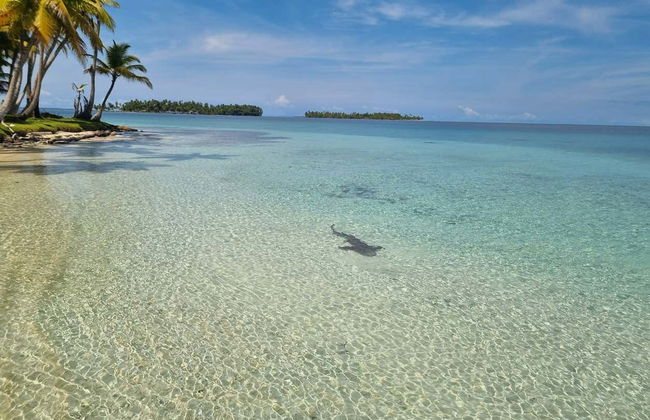 Excursión a las islas de San Blas - Foto 2